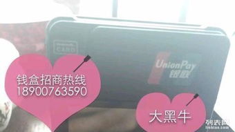 岳麓区POS机办理全攻略