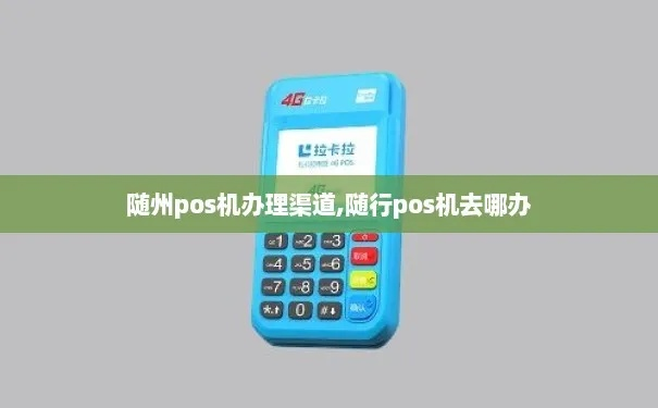 随州电签版POS机办理申请流程详解