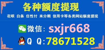 白条扫一扫就能套出来？深度解析与实操指南
