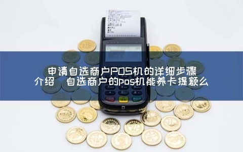 自选商户POS机办理全攻略