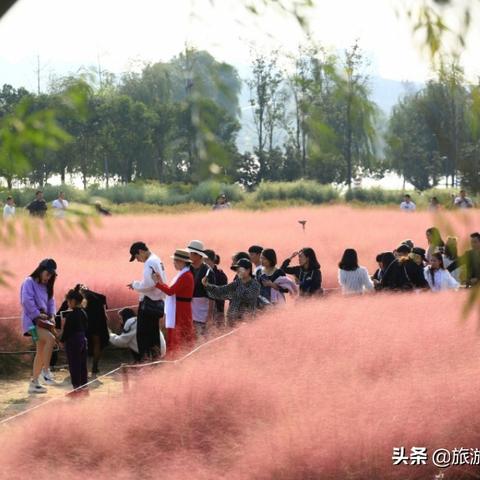 西安免费POS机办理指南