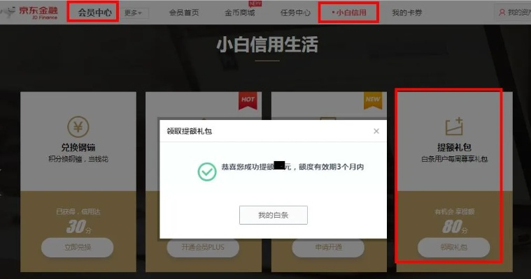 如何把京东白条提现？实用指南与案例分析