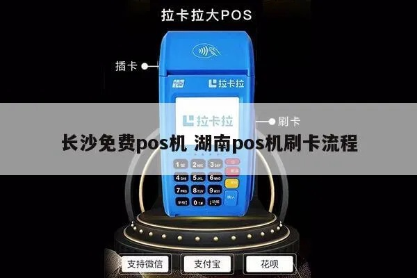 长沙个人拉卡拉POS机申请流程详解