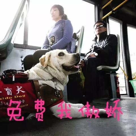 注销完的POS机能否再次申请？案例分析与说明