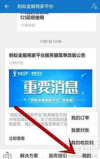 支付宝申请POS机业务的详细指南