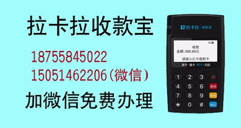 拉卡拉POS机代理服务申请流程与案例解析
