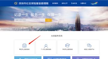 抖音月付提现全攻略，账户显示问题怎么解决？手把手教你正确操作