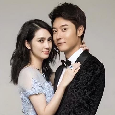 查开房间记录网站2016，揭秘与探讨