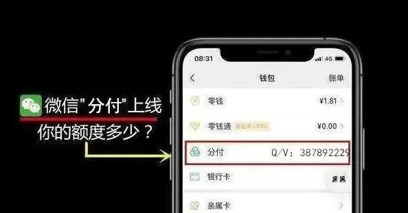 微信分付提现全攻略，手把手教你轻松提现，附避坑指南