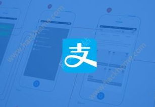 支付宝POS机代理申请流程详解