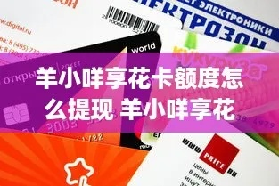 羊小咩享花卡提现攻略，实用指南与案例分析