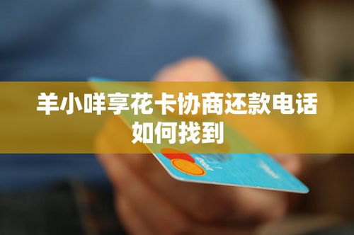 羊小咩享花卡苏宁套，实用指南与案例分析