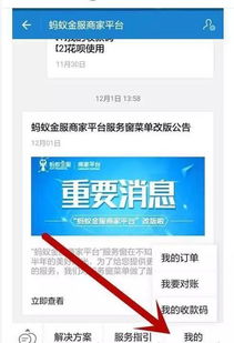 支付宝申请个人POS机账号指南