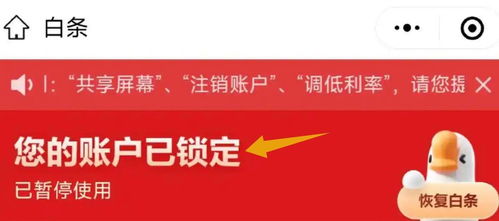 美团白条提现指南，轻松解决资金问题