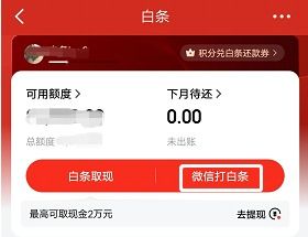 百度一下京东白条如何提现，详细步骤与案例解析