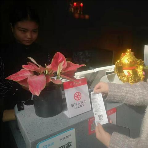 成都POS机办理申请入口及案例解析