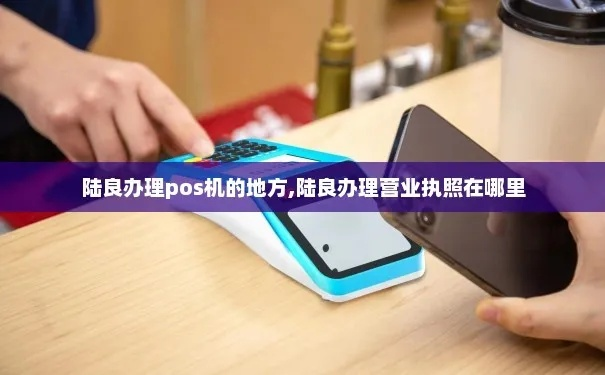 陆良县POS机申请流程详解
