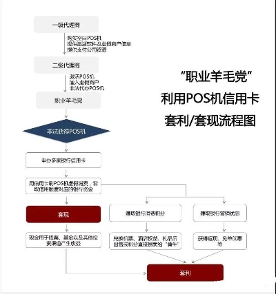 个体户扫码POS机申请流程与案例解析