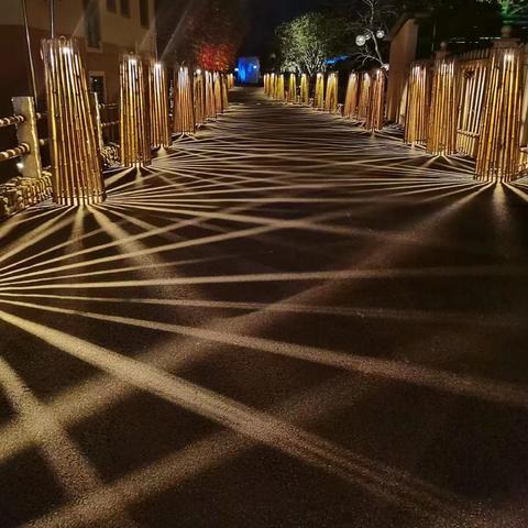 住宿记录查询公司，探索背后的故事与细节