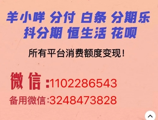 羊小咩享花卡最新套出商家解析，实用指南与案例分享