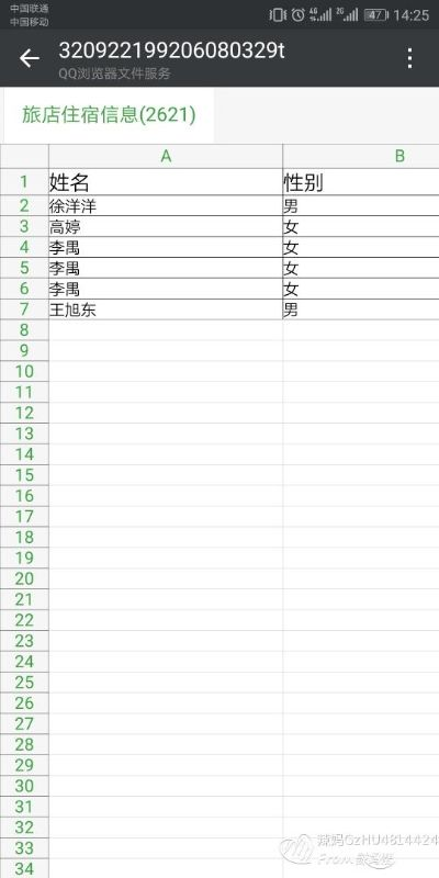 查房网查开房记录表详解，操作指南与案例分析