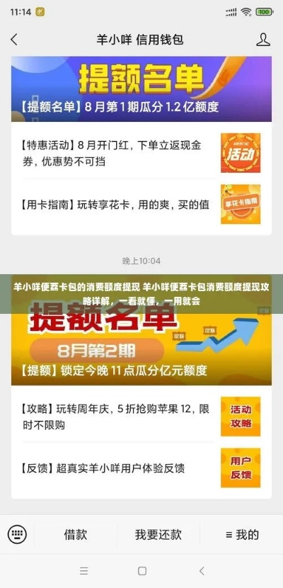 羊小咩便荔卡会员提现攻略详解