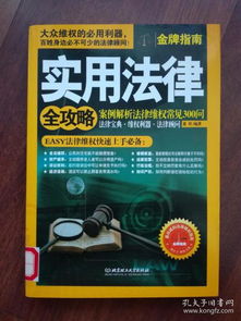 白条免费套出来技巧全解析，实用方法与案例分享