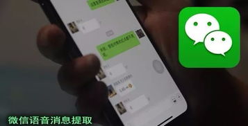 手把手教你查聊天记录怎么删除，手机电脑全攻略