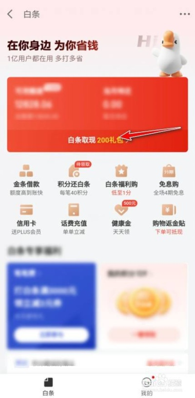 京东白条新乡兑现攻略，商家选择与操作指南