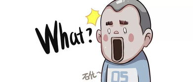 苹果套现风险警示—小心羊小咩享花卡的风控陷阱