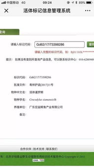 求查开房记录网站深度揭秘，如何合法合规地获取个人信息？