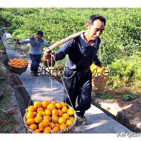 轻松解决资金周转难题，甜橙分期乐扫码套现攻略