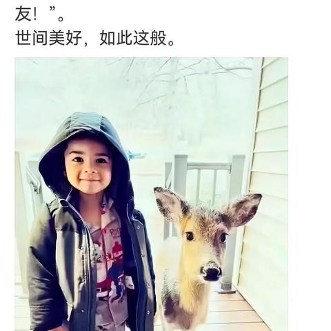 鹿优选额度提现与额度变低的深度解析