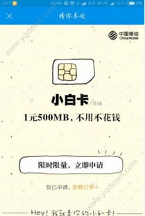 邛崃市POS机申请电话号码及案例解析