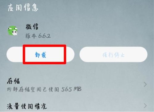 如何查聊天记录并删除—详细步骤与案例解析