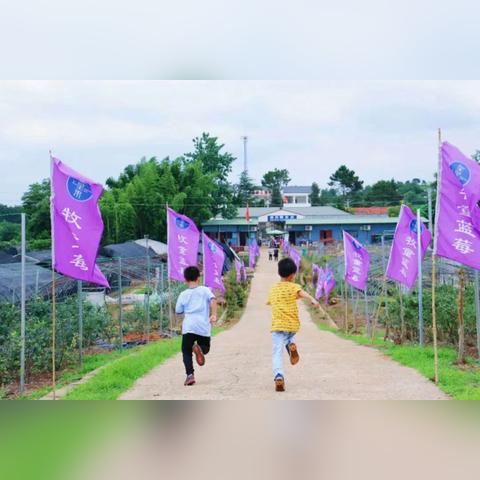 桃多多额度提现攻略，了解临时额度发放时间与方法