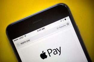 办理Apple Pay POS机，简化支付流程，提升顾客满意度