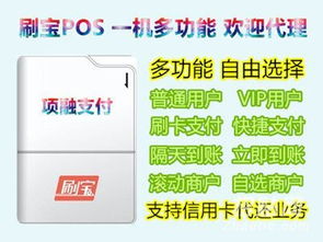 个体如何办理POS机，步骤、表格和案例解析