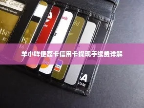 手把手教你搞定羊小咩便荔卡提额码提现全攻略，附避坑指南和真实案例