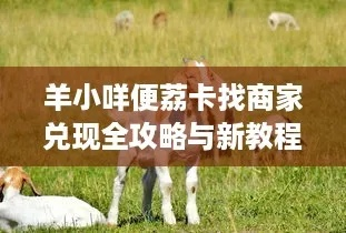 手把手教你搞定羊小咩便荔卡提额码提现全攻略，附避坑指南和真实案例