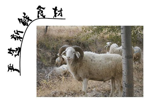 羊小咩便荔卡主播能提现吗？一篇文章带你全面了解