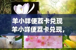 朱辛庄羊小咩便荔卡取现全攻略，乡村振兴下的牧羊人福利计划