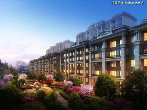 正规黑客24小时免费接单？揭秘网络安全服务的隐藏真相与合法途径
