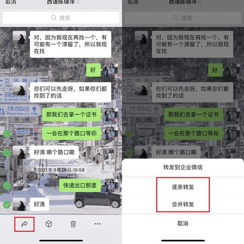 怎么查看别人微信的聊天记录？别担心，我这里有你需要的答案！