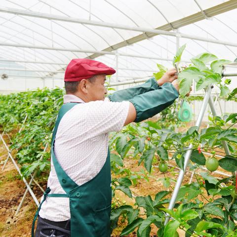龙岩兴业银行POS机申请电话号码及案例解析