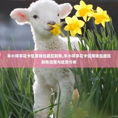 羊小咩享花卡取现渠道详解，取现攻略及案例分享