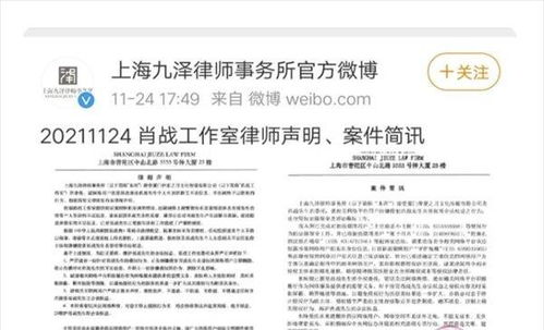 东莞羊小咩便荔卡被起诉事件深度解析，法律、消费者权益与品牌保护的血泪教训
