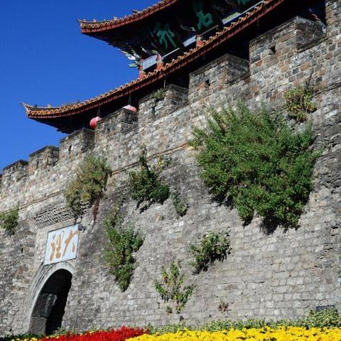 羊小咩享花卡红包提现不要钱—省钱攻略大揭秘