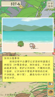 长海县羊小咩便荔卡取现全攻略，手把手教你避坑指南