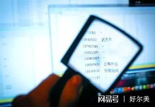 网上查开房记录真的可行吗？揭秘背后的法律与真相